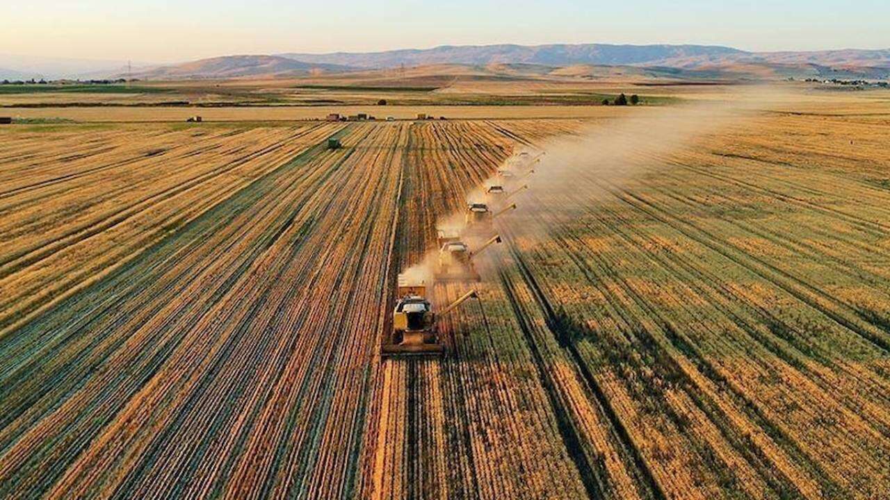 12,5 milyar liranın üzerinde cirosu vardı: Türk tarım devi iflasın eşiğinde 1